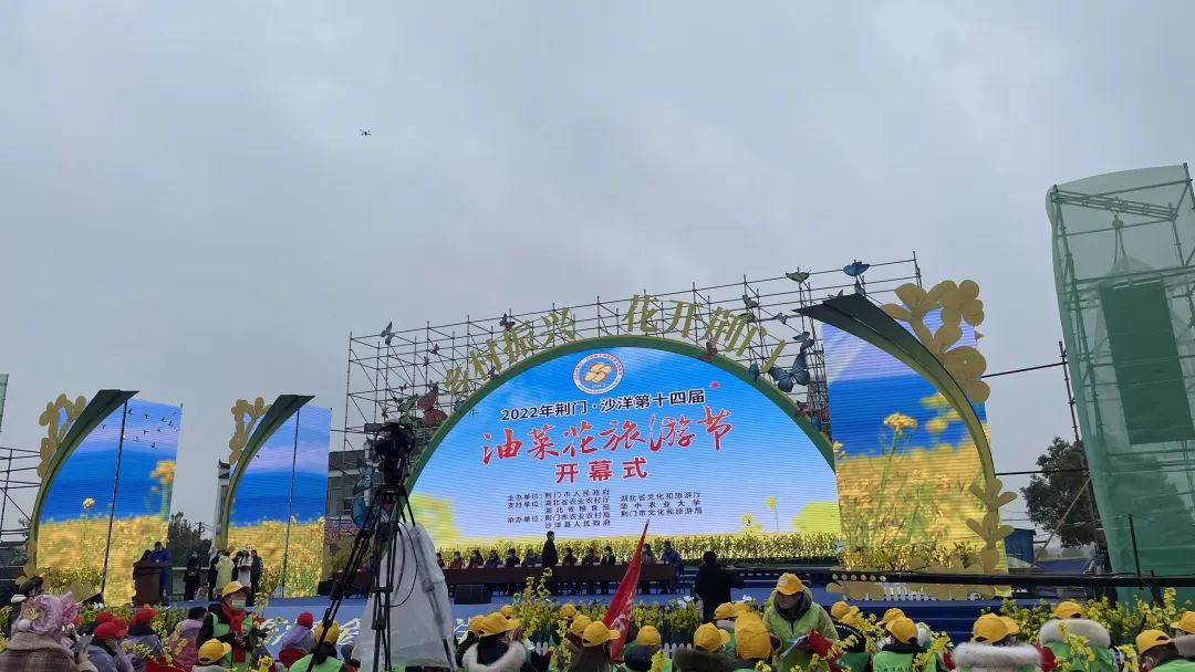 1648010976928.jpg 4.jpg